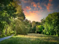 fietzfotos-meadow-5382668 (1) (Foto: Pixabay) fietzfotos-meadow-5382668 (1) (Foto: Pixabay)
